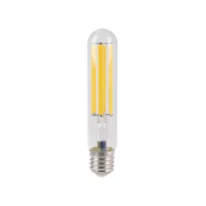 Ampoule LED Filament éclairage public E40 40W IP65